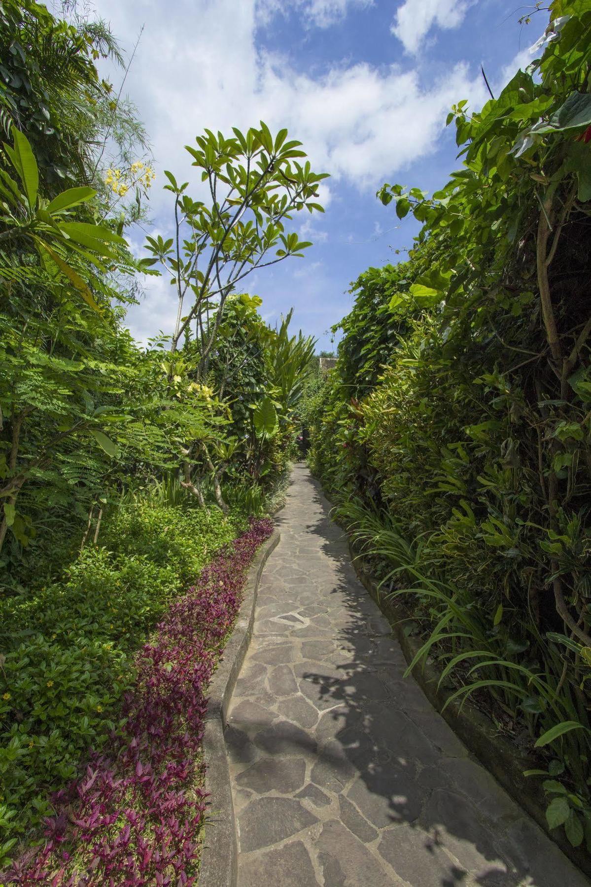 Ladera * Ubud